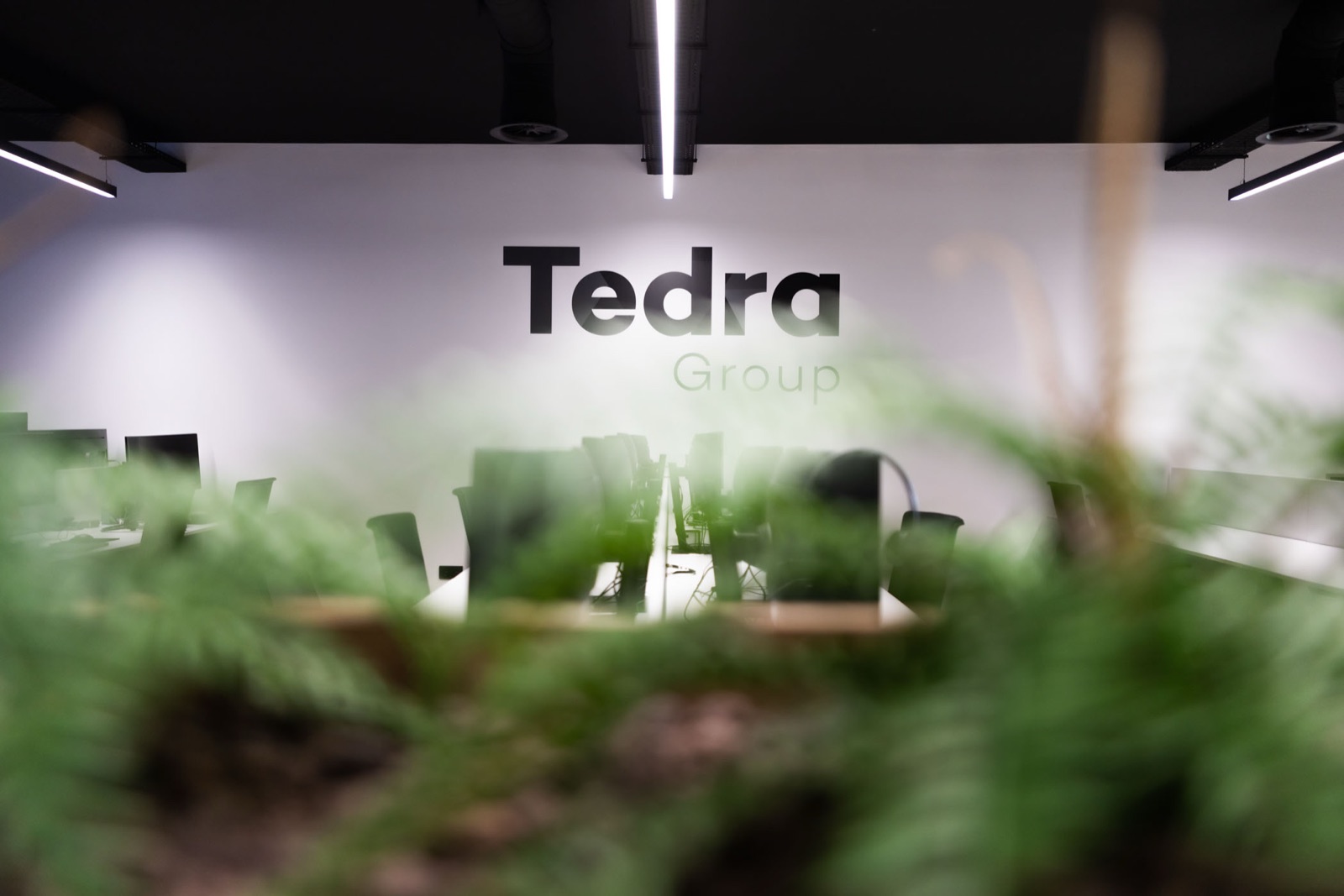 Tedra offices in León